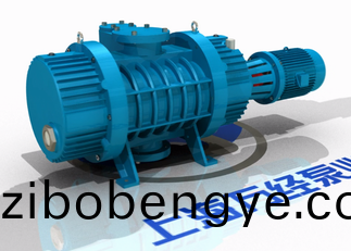 ZJP係(xi)列儸茨真空泵(beng)的(de)內(nèi)(nei)部結(jié)構(gòu)(gou)－分(fen)解視(shi)頻